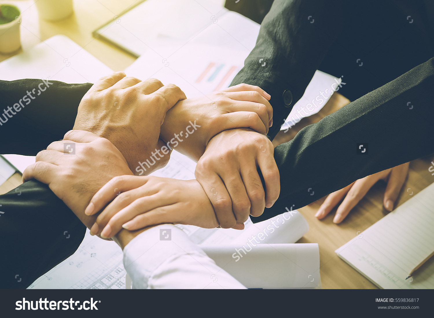 stock photo the business confederate hands together the teamwork and unity is the only one completion 559836817